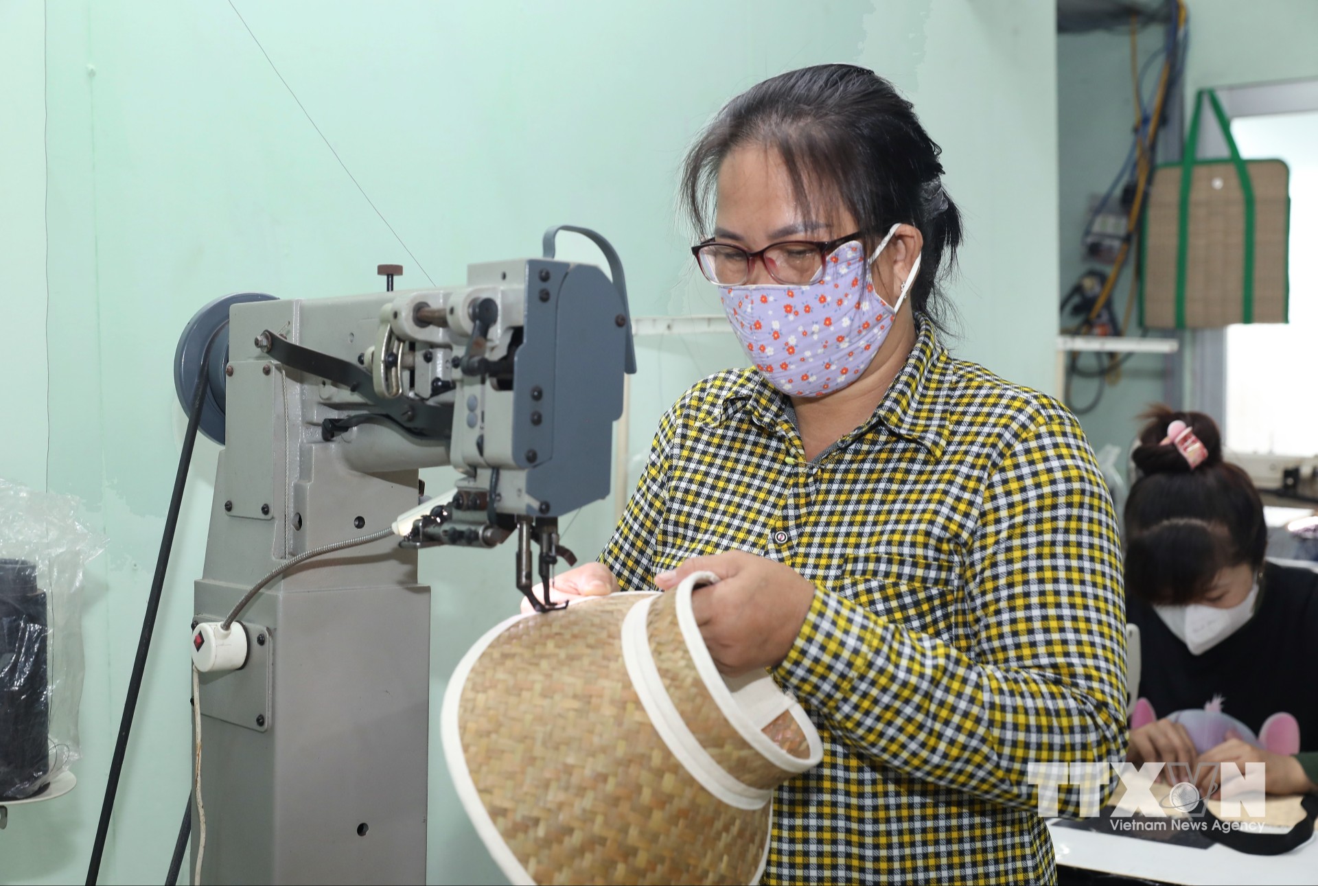 Biến cỏ bàng thành sản phẩm thân thiện môi trường để nâng tầm thương hiệu Việt, chinh phục thị trường quốc tế. (Ảnh: Phan Phương/TTXVN)